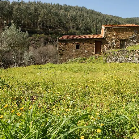 Holiday home Casinha Da Aldeia Castelo Branco (Centro)