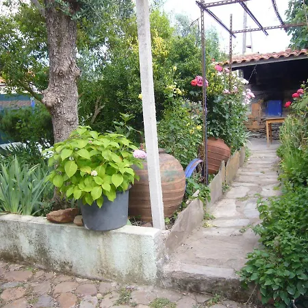 Casinha Da Aldeia * Castelo Branco (Centro)